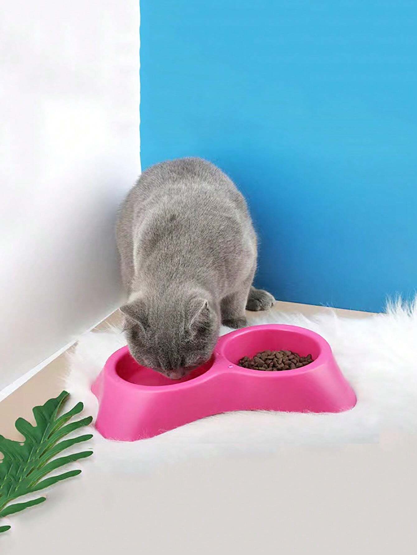Plastic Dual Pet Food & Water Bowl - Image 2