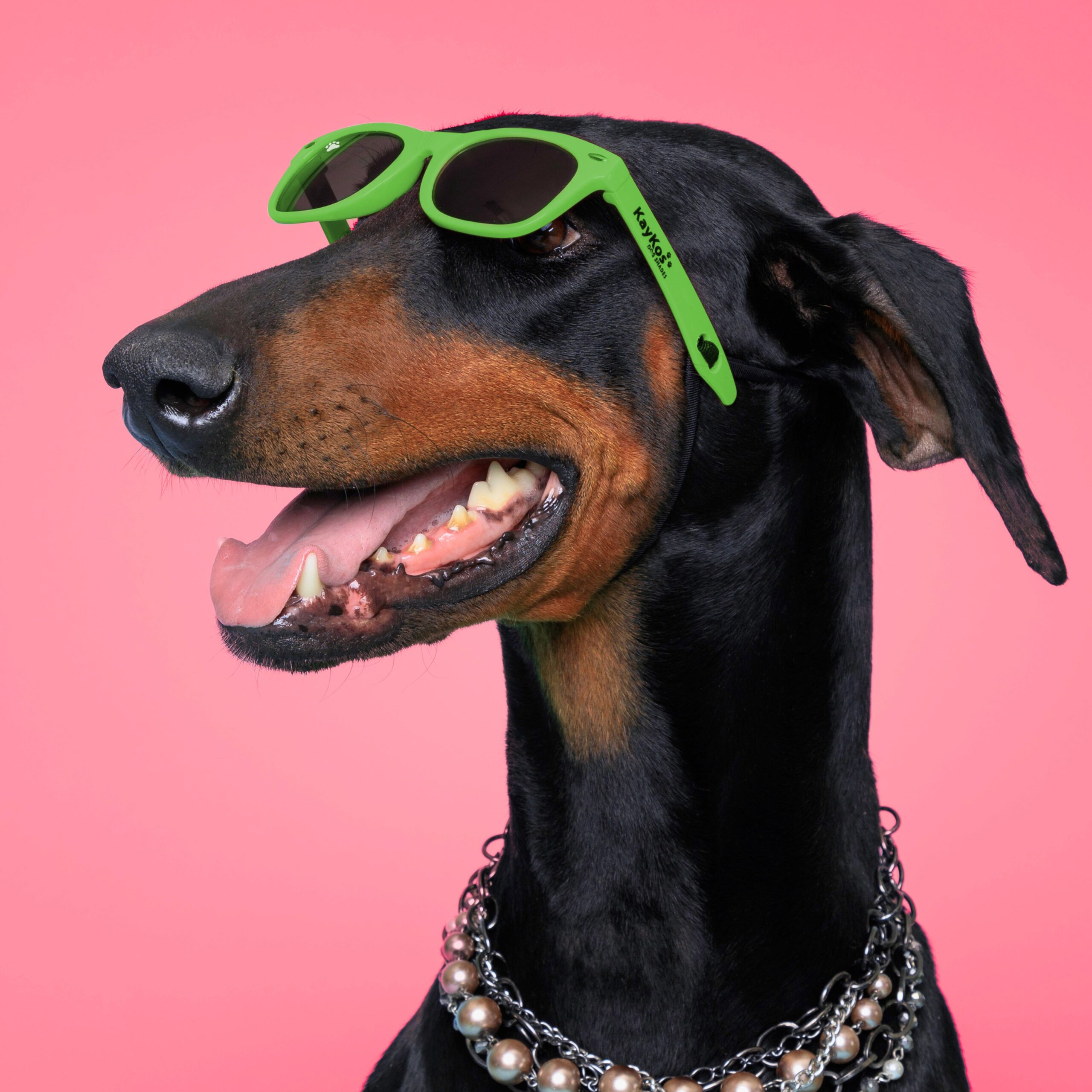 Glasses for Cats & Dogs - Image 5
