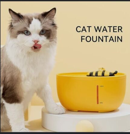 Bee cat water fountain