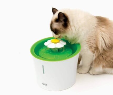 Cat Flower water fountain