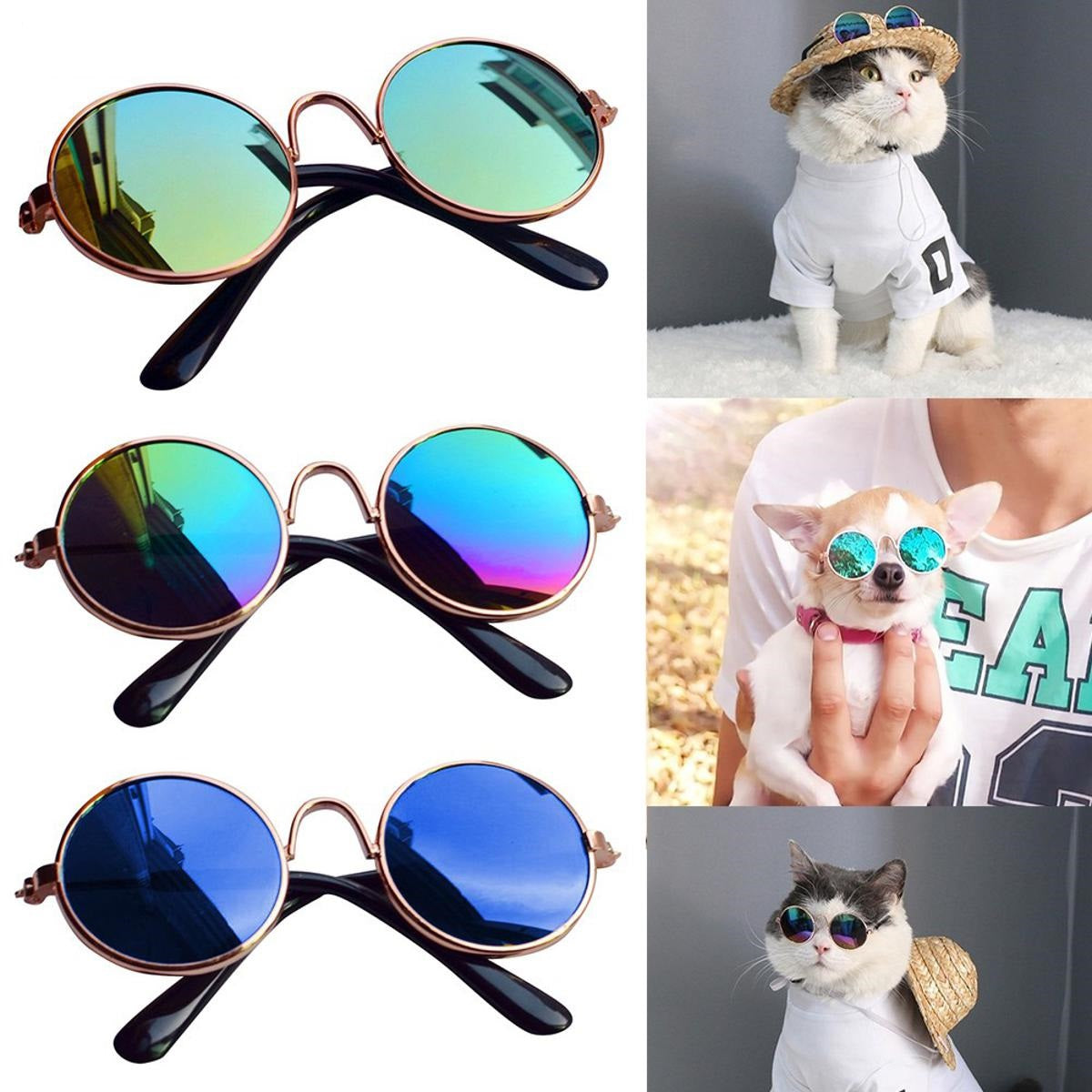 Glasses for Cats & Dogs - Image 6