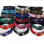 Multi Color Soft Collar L
