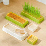 Cat Grass Box With Seeds