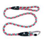 Multi Color Dog Leash