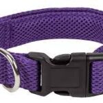 Purple Dog Collar