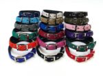 Multi Color Soft Collar L - Image 2