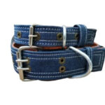 Jeans Collar