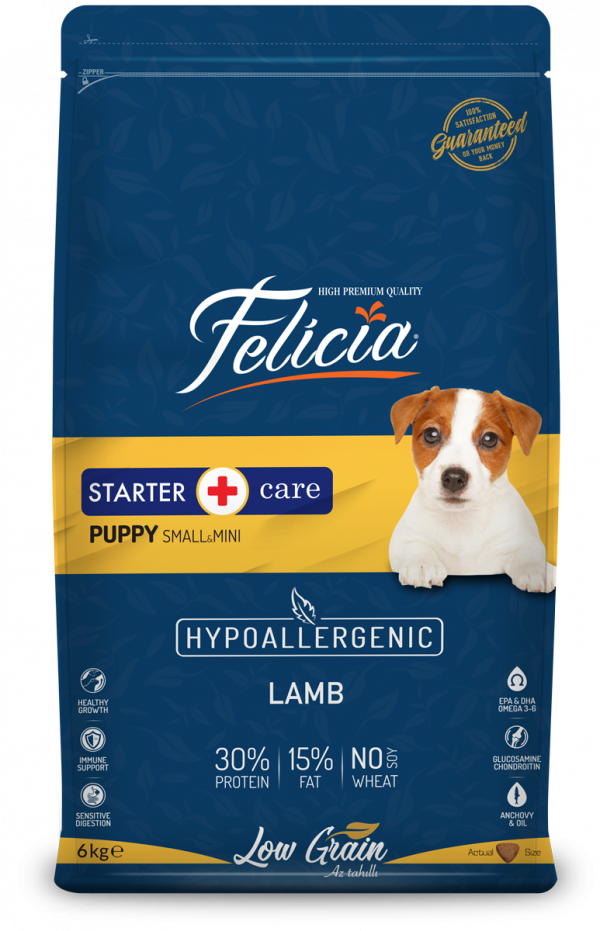3ee2b6bfb4832b6449ff4c1699b9b006.png Felicia Starter Care Puppy Lamb Small - Image 1
