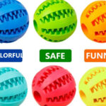 Treat Ball S