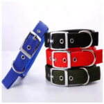 Soft Collar With Buckle S