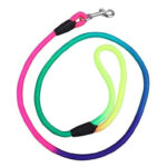 Multicolor Leash M