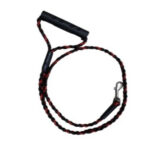 Fancy Puppy Leash