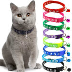 Pu Bone Collar 1.5M