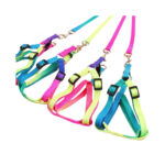 Multi Color Leash With Harness S