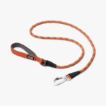 Color Full Dog Leash