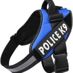 Police K9 Chester L