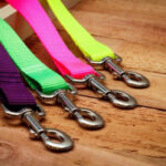 Colorfull High Duty Leash