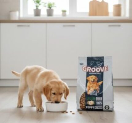 Groove puppy food with chicken 1.2kg