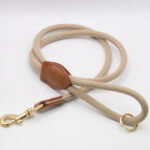 Golden Buckle Leash H S