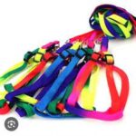 Colorfull Harness