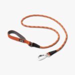 Color Full Dog Leash - Image 2