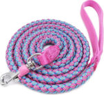 Blue and Pink Rope Leash