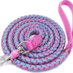 Blue and Pink Rope Leash
