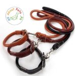 Collar & Leash