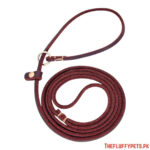 Lab Choke Leash